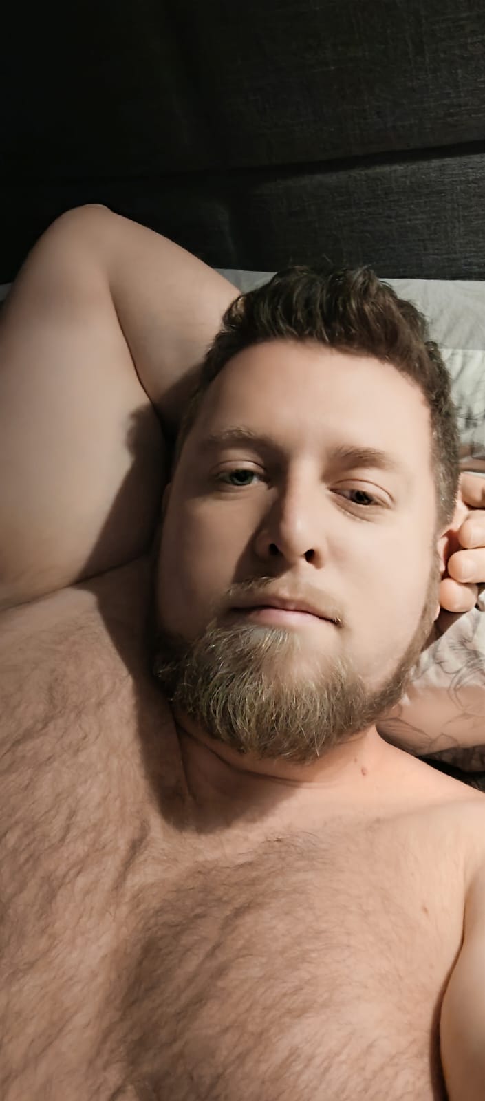 Jérémie, 36 ans, Bailleul